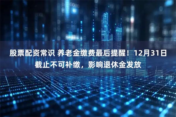 股票配资常识 养老金缴费最后提醒！12月31日截止不可补缴，影响退休金发放