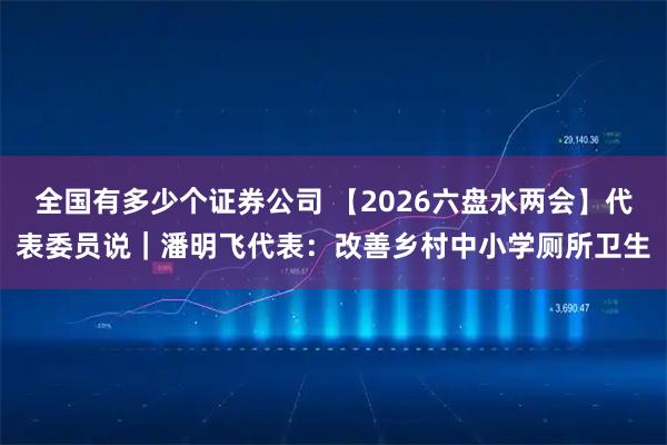 全国有多少个证券公司 【2026六盘水两会】代表委员说｜潘明飞代表：改善乡村中小学厕所卫生