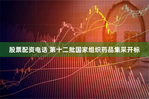 股票配资电话 第十二批国家组织药品集采开标