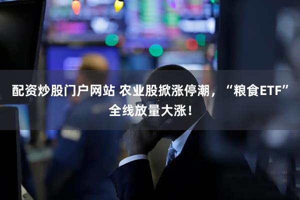 配资炒股门户网站 农业股掀涨停潮，“粮食ETF”全线放量大涨！